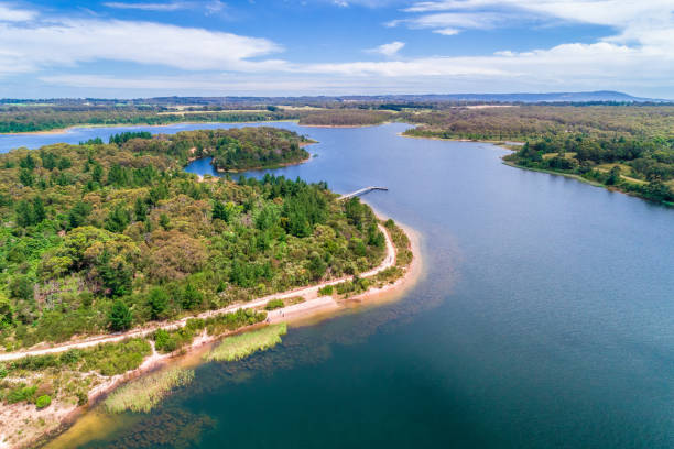 istock Devilbend Reservoir lake and forest - aerial view 1296255377