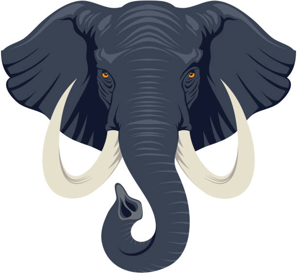 wilde elefanten tier kopf fauna charakter - elephant head stock-grafiken, -clipart, -cartoons und -symbole