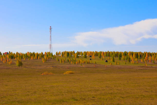 Cell phone antenna tower in a blue sky