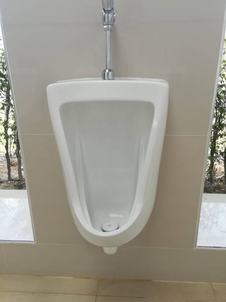 istock Comfort male toilet urinal concept 1296261928