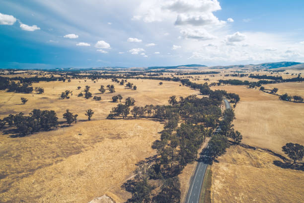 istock Rural road passing through yellow fields and rolling hills in Australia - aerial view 1296262082
