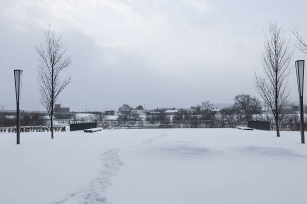istock Winter scenery in Asahikawa city. 1296262847