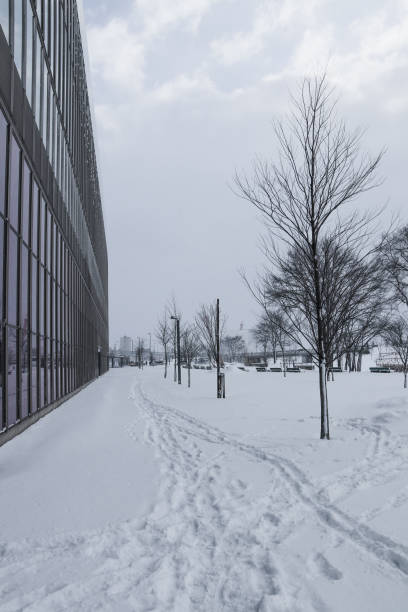 istock Winter scenery in Asahikawa city. 1296262935