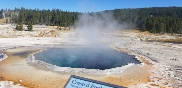 istock Crested Pool, Yellowstone National Park, Wyoming 1296264779