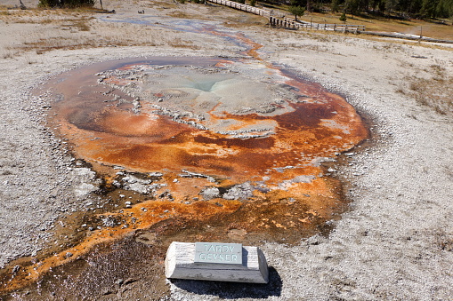 Is it Tardy? A geyser found in the Upper Geyser Basin area