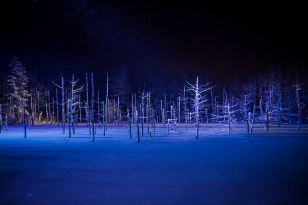 istock Blue pond illumination in winter. 1296265687