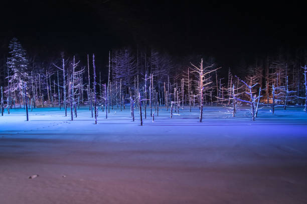 istock Blue pond illumination in winter. 1296265688