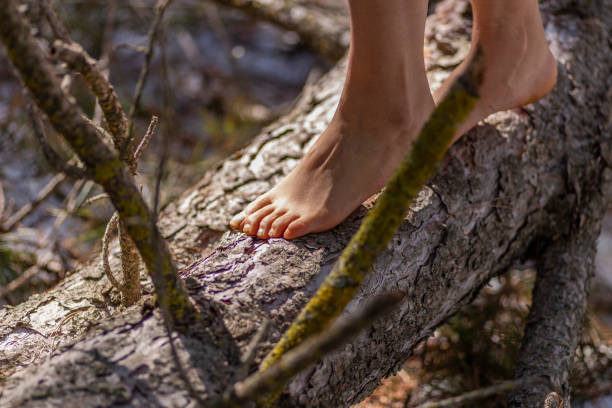 istock The woman barefoot on tipped log. 1296265724