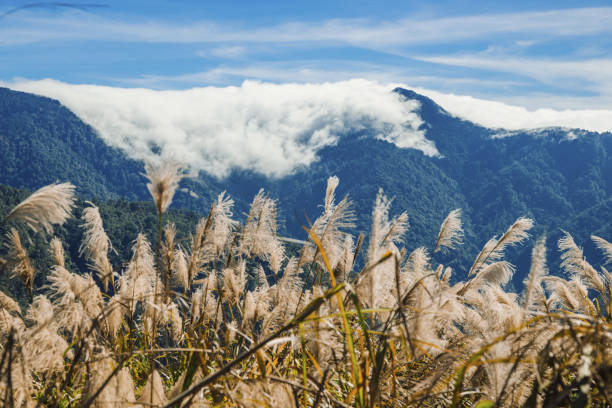 Travel in Taiwan