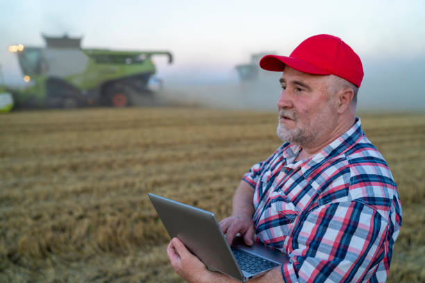 istock Agriculture: Farmer or rancher with Computer in a Wheat Field 1296268381