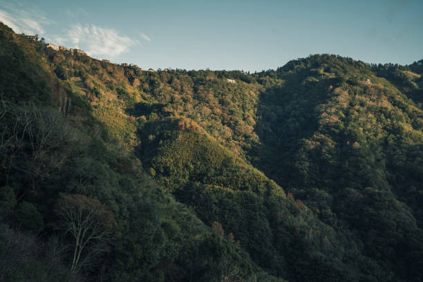 istock Travel in Taiwan 1296268466