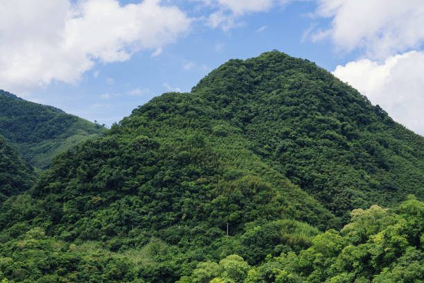 istock Travel in Taiwan 1296270625