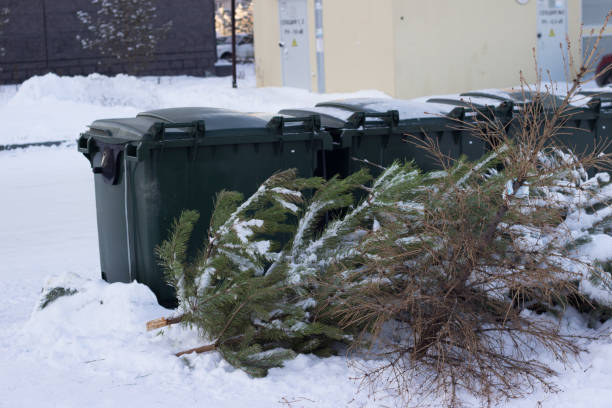 istock Used christmas trees going to dumpster after holidays 1296277039