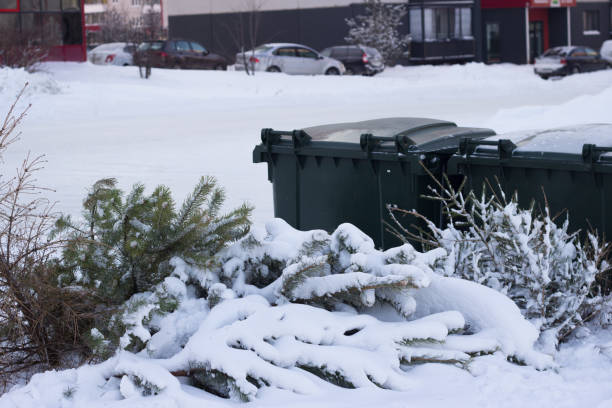istock Used christmas trees going to dumpster after holidays 1296277052
