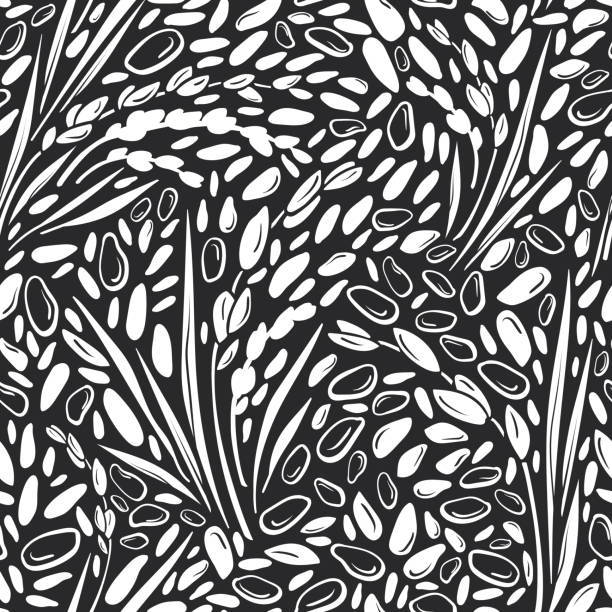 米シームレスパターン。ベクターシリアル白い種子 - rice white rice backgrounds cereal plant点のイラスト素材／クリップアート素材／マンガ素材／アイコン素材