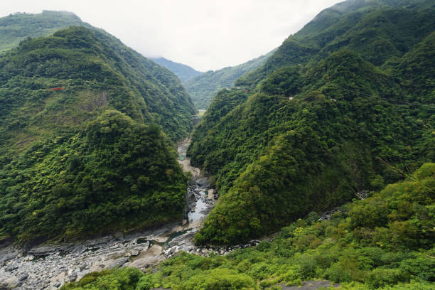 istock Travel in Taiwan 1296282865