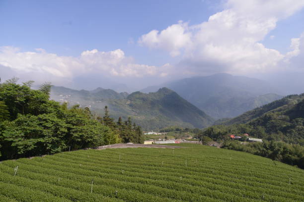 istock Travel in Taiwan 1296283662