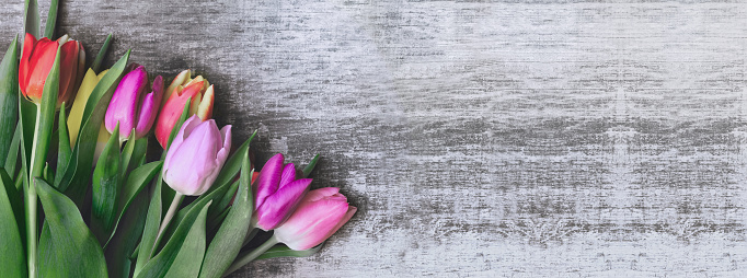 panoramic view on a bouquet of tulips on a wooden background with copy space