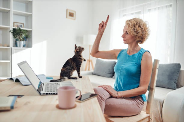 istock Woman working from home on a laptop / notebook with cat pet with her. 1296285692