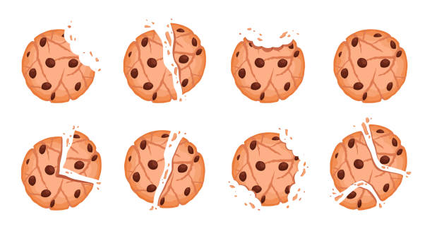 ilustrações, clipart, desenhos animados e ícones de biscoitos mordidos. saborosa coleção de biscoitos lascados de vetor de sobremesa crumble - cookie sugar oatmeal isolated