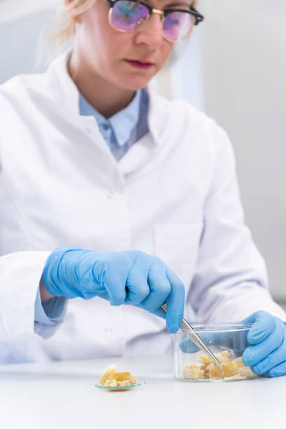 istock Chemist working with terpene CBD crystals in laboratory 1296288704