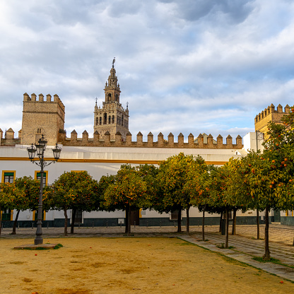 view of the historic Patio de Banderas in Seville with the cathedral in the background