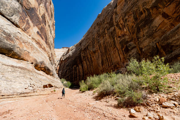 Adventures in desert of USA Southwest: Woman hiking in a desert landscape at Capitol Reef Under Corona arch: Woman hiking near Canyonlands, Moab canyonlands national park stock pictures, royalty-free photos & images