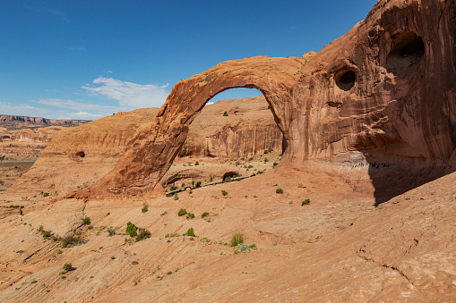 This rock formation in the Valley of Fire near Las Vegas in Nevada is shaped like an elephant. Seen a hot summer day in the desert.