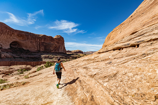 The Watchman, Zion National Park, Utah