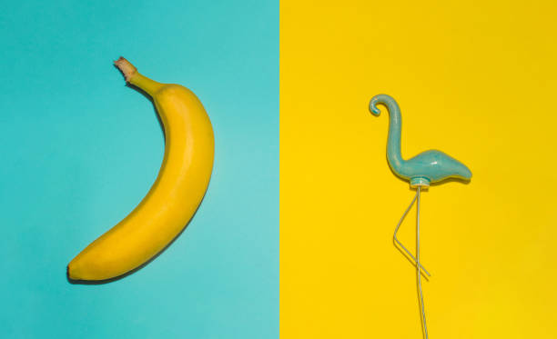 istock Comparison of banana and flamingo. Minimalistic composition. 1296298065