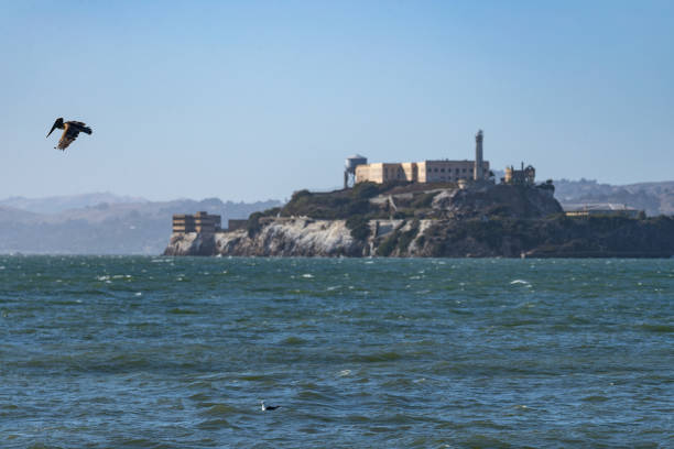 istock Views of San Francisco: Alcatraz Island 1296298336