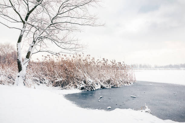 istock Shallow Snowfall Over a Winter Landscape 1296299470