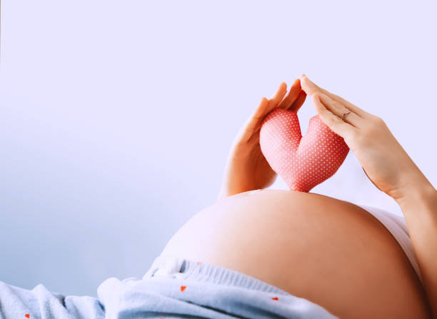 Pregnant woman holds in palms symbol in heart shape. Loving mom waiting of a baby. Concept of maternity, parenting, prepare and expect. Pregnant woman holds in palms symbol in heart shape. Loving mom waiting of a baby. Concept of maternity, parenting, prepare and expect. Happy expectant mother during pregnancy. surrogacy stock pictures, royalty-free photos & images