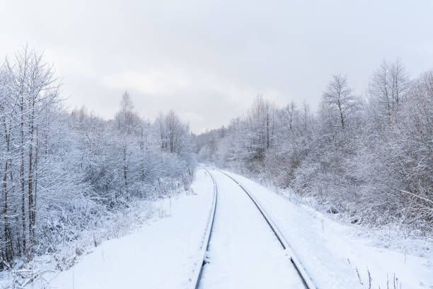 istock Winter scene - A railroad surrounded by forest covered with snow. 1296306531