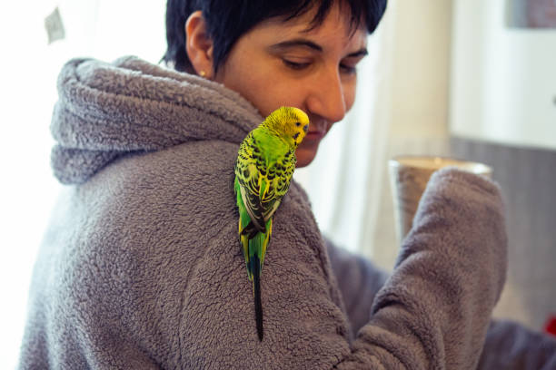 istock Cute parrot and his owner 1296307185