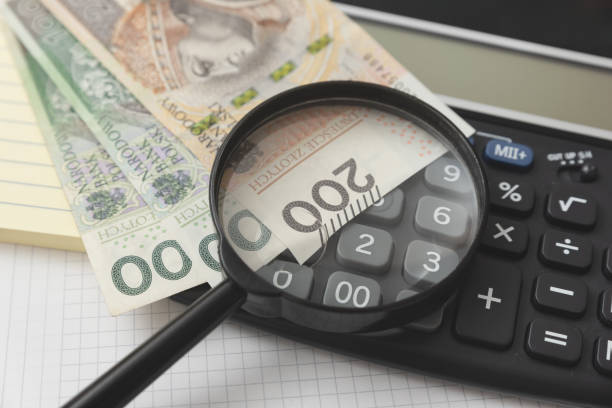 Budget and finance concept with polish money Polish money, calculator and magnifier. Budget and finance concept vat stock pictures, royalty-free photos & images