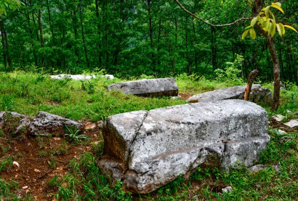 Photo of Medieval tombstones from 13Th century called Mramorje or Urosevine, located on Tara mountain near Krizevac village.Necropolis of different shapes.Graveyard overgrown with vegetation, forgotten in time