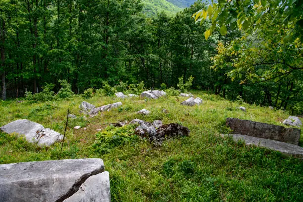 Photo of Medieval tombstones from 13Th century called Mramorje or Urosevine, located on Tara mountain near Krizevac village.Necropolis of different shapes.Graveyard overgrown with vegetation, forgotten in time