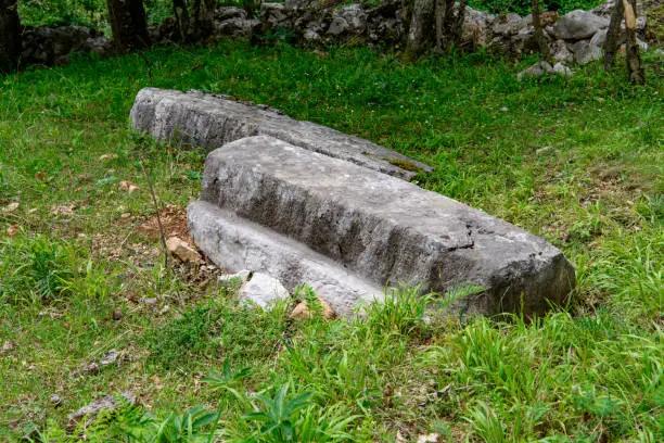 Photo of Medieval tombstones from 13Th century called Mramorje or Urosevine, located on Tara mountain near Krizevac village.Necropolis of different shapes.Graveyard overgrown with vegetation, forgotten in time