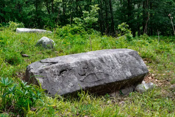 Photo of Medieval tombstones from 13Th century called Mramorje or Urosevine, located on Tara mountain near Krizevac village.Necropolis of different shapes.Graveyard overgrown with vegetation, forgotten in time