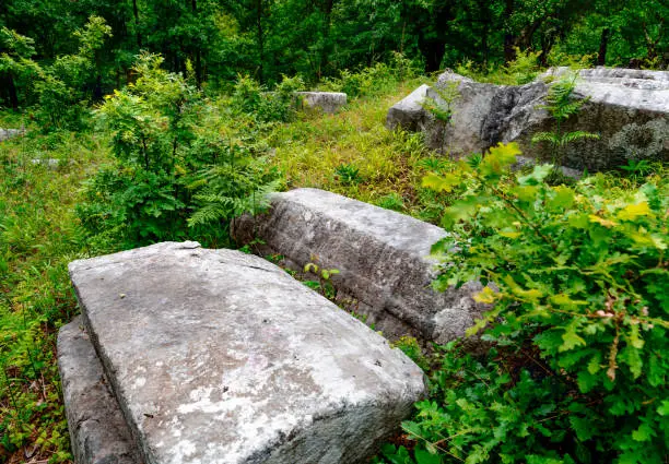 Photo of Medieval tombstones from 13Th century called Mramorje or Urosevine, located on Tara mountain near Krizevac village.Necropolis of different shapes.Graveyard overgrown with vegetation, forgotten in time