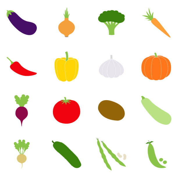 ilustrações de stock, clip art, desenhos animados e ícones de set of color vegetables icons, vector illustration - rutabaga