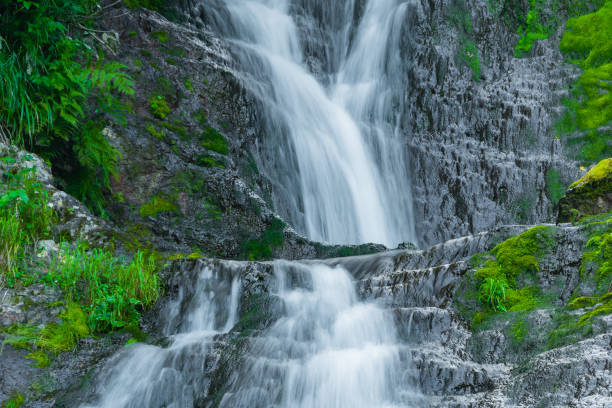 istock Forest stream in rainforest. Waterfall among mossy rocks and greenery. Mountain river on summer day. Nature landscape with  cascades of mountain creek among lush thickets in forest. 1296313019