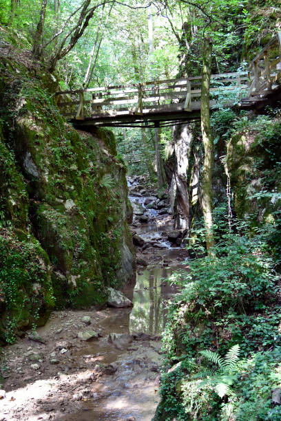 istock Austria, Johannesbach-Ravine 1296313543