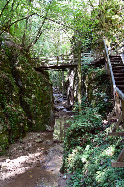 istock Austria, Johannesbach-Ravine 1296313694