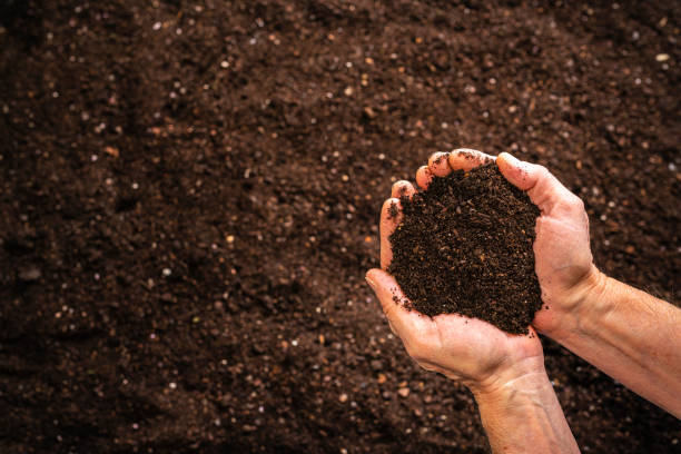 Overhead view of hands holding dark soil against defocused soil background. The composition is at the right of an horizontal frame leaving useful copy space for text and/or logo at the left. Predominant color is brown. High resolution 42Mp studio digital capture taken with SONY A7rII and Zeiss Batis 40mm F2.0 CF lens