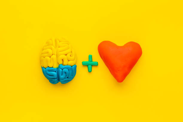 Emotional intelligence concept. Brain and heart made of clay, top view stock photo