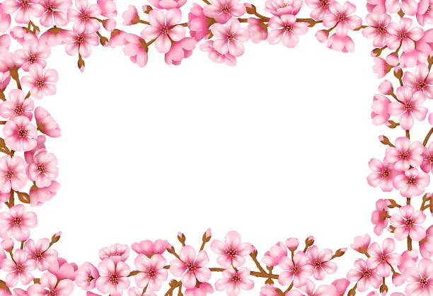 Vector illustration of Sakura Blossom Vector Background