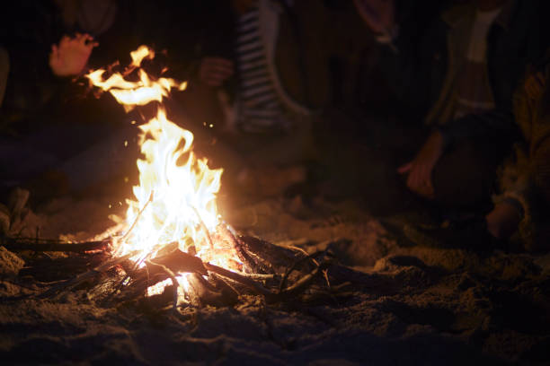 istock Group of friends warming hands around beach bonfire at night 1296316663