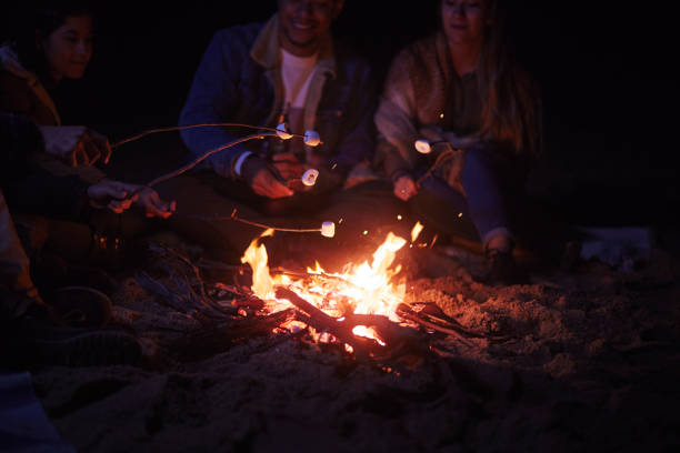 istock Friends toasting marshmallows on sticks on beach bonfire 1296317609